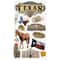 12 Pack: Texas Themed Stickers by Recollections™